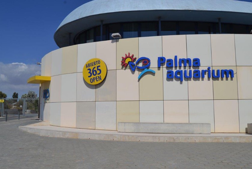 Palma Aquarium 