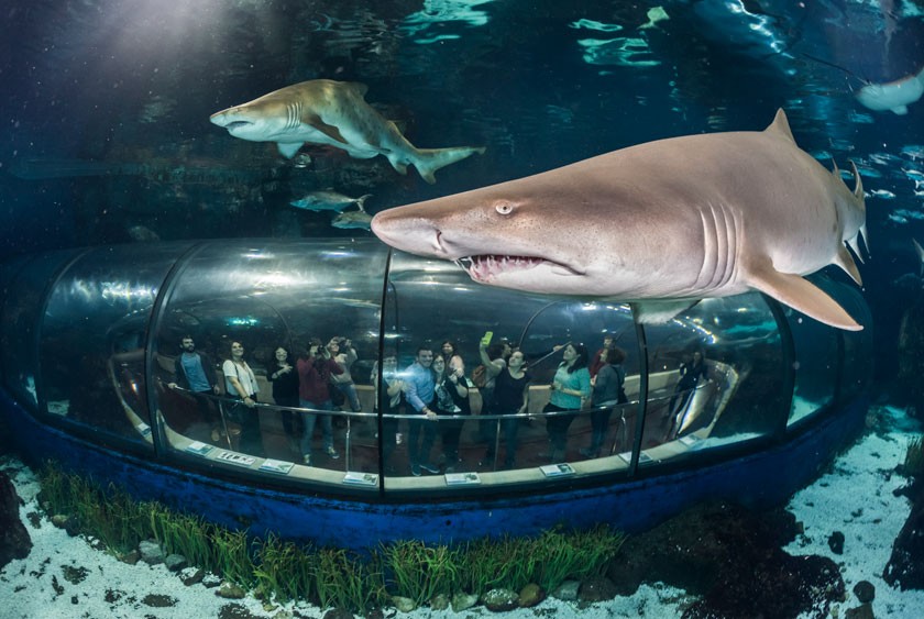 L'Aquarium Barcelona